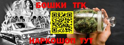 СК Дубна