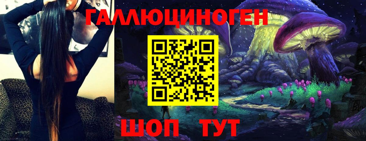 Псилоцибиновые грибы Psilocybe  Вход с VPN  Псилоцибиновые грибы Magic Shrooms  сколько стоит  Мирный 