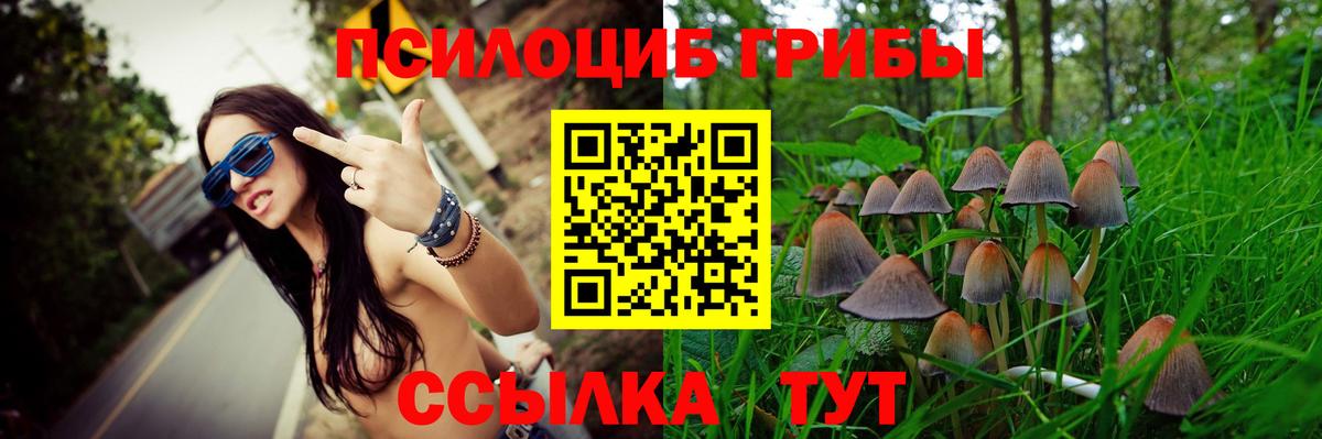 Галлюциногенные грибы Psilocybe Мирный